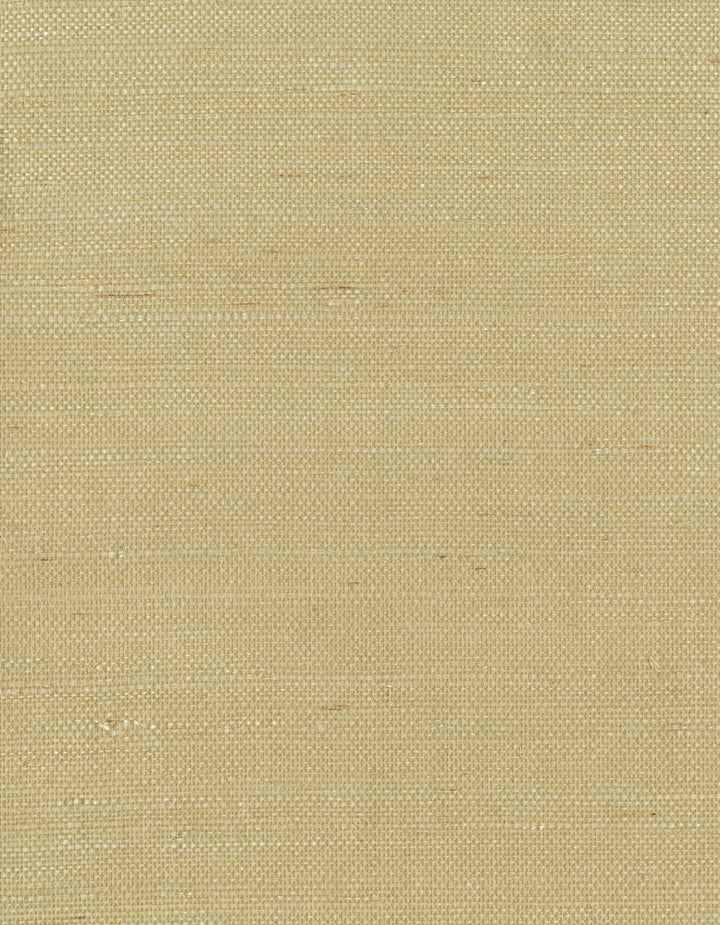 by Ronald Redding Grasscloth Resource - Fabric Carolina -