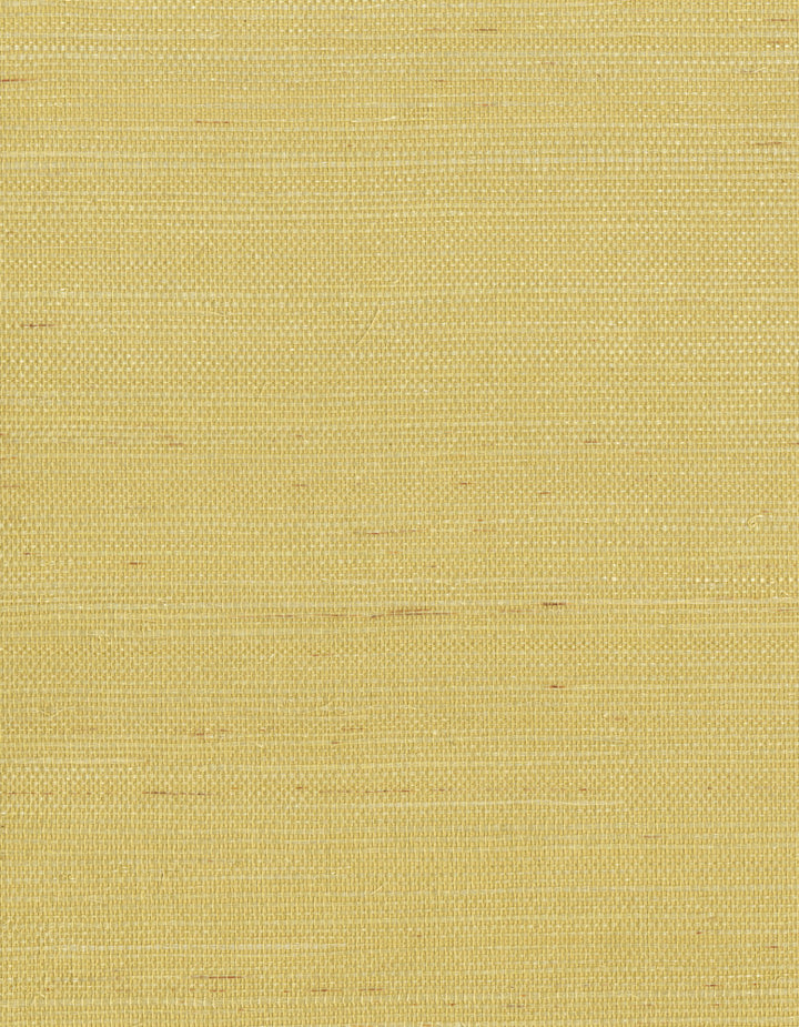 by Ronald Redding Grasscloth Resource - Fabric Carolina -