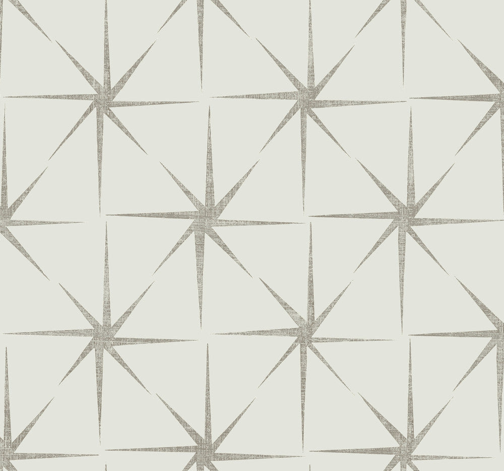 Evening Star Silver Wallpaper by York Wallcoverings Grandmillennial Covers about 60.8 square feet 27-in by 27-ft long roll Prepasted 25.25 - Fabric Carolina -