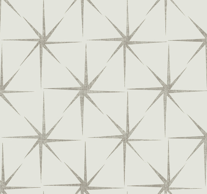 Evening Star Silver Wallpaper by York Wallcoverings Grandmillennial Covers about 60.8 square feet 27-in by 27-ft long roll Prepasted 25.25 - Fabric Carolina -