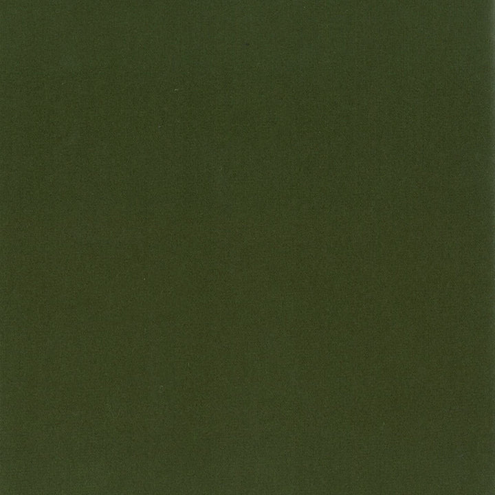 Grace 22 Boxwood by Stout Fabric ENCORE 100%POL CHINA Horizontal: 0.000 and Vertical: 0.000 55 in - Fabric Carolina -