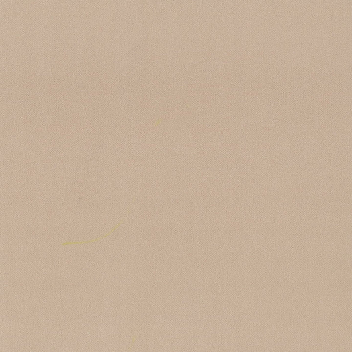 Grace 34 Cameo by Stout Fabric ENCORE 100%POL CHINA FLAME RETARDANT-N.F.P.A. 260A CLASS 1 CATB 117-2013 WYZENBEEK 50 000 DOUBLE RUB WEAR TEST (HEAVY DUTY) Horizontal: 0 and Vertical: 0 55 in - Fabric Carolina -