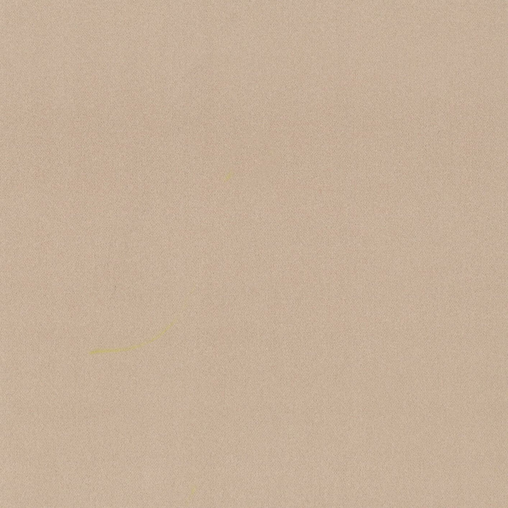 Grace 34 Cameo by Stout Fabric ENCORE 100%POL CHINA FLAME RETARDANT-N.F.P.A. 260A CLASS 1 CATB 117-2013 WYZENBEEK 50 000 DOUBLE RUB WEAR TEST (HEAVY DUTY) Horizontal: 0 and Vertical: 0 55 in - Fabric Carolina -