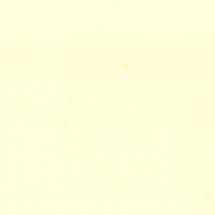 Grace 46 Cream by Stout Fabric Stout Fabric Grace 46 CreamFabric ENCORE CHINA </p><p>Repeat: H: 0.000, V: 0.000 55 in - Fabric Carolina -