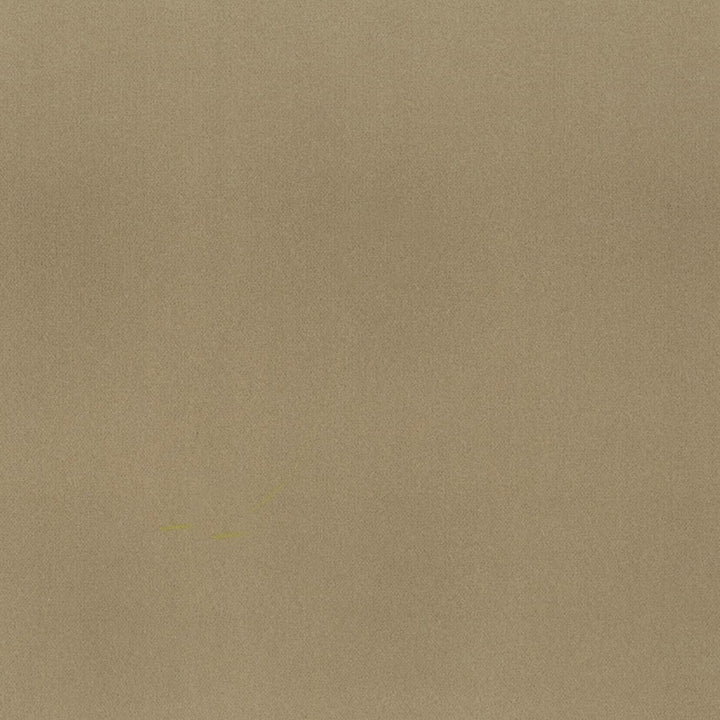 Grace 47 Sandstone by Stout Fabric ENCORE 100%POL CHINA FLAME RETARDANT-N.F.P.A. 260A CLASS 1 CATB 117-2013 WYZENBEEK 50 000 DOUBLE RUB WEAR TEST (HEAVY DUTY) Horizontal: 0 and Vertical: 0 55 in - Fabric Carolina -