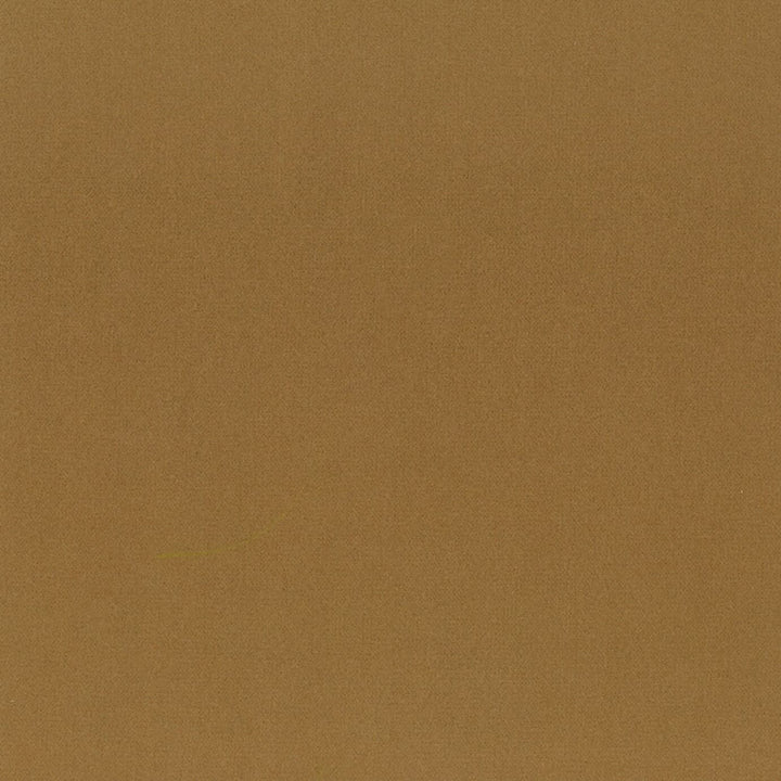 Grace 49 Cork by Stout Fabric ENCORE 100%POL CHINA FLAME RETARDANT-N.F.P.A. 260A CLASS 1 CATB 117-2013 WYZENBEEK 50 000 DOUBLE RUB WEAR TEST (HEAVY DUTY) Horizontal: 0 and Vertical: 0 55 in - Fabric Carolina -