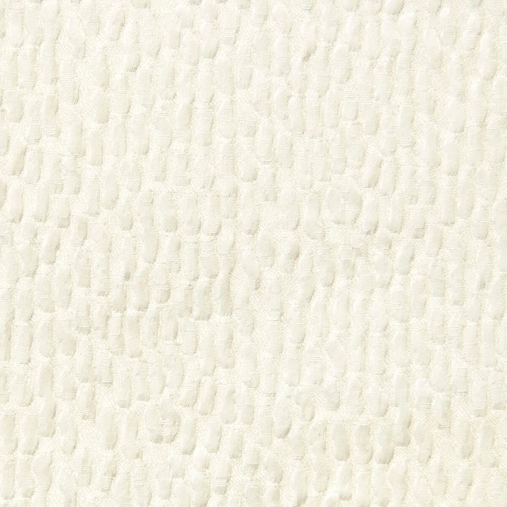 Gramercy 1 Cream by Stout Fabric Rainbow Library Pearl/Parchment 100% Polyester INDIA FLAME RETARDANT-CA BULLETIN 117-SECTION E WYZENBEEK 25 000 DOUBLE RUB WEAR TEST (HEAVY DUTY) Horizontal: 4.625 and Vertical: 5.75 55 in - Fabric Carolina -