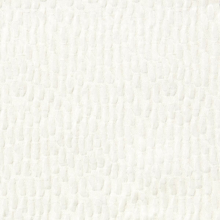Gramercy 4 Salt by Stout Fabric RAINBOW LIBRARY PEARL/PARCHMENT 100%POL INDIA FLAME RETARDANT-CA BULLETIN 117-SECTION E WYZENBEEK 25 000 DOUBLE RUB WEAR TEST (HEAVY DUTY) Horizontal: 4.625 and Vertical: 5.75 55 in - Fabric Carolina -