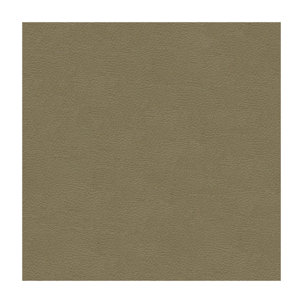 Grana-11 by Kravet Design Fabric ULTRALEATHER PLUS IV POLYURETHANE - 100% Japan HEAVY Horizontal: and Vertical: 54 - Fabric Carolina -
