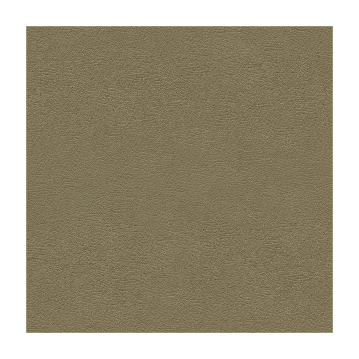 Grana-11 by Kravet Design Fabric ULTRALEATHER PLUS IV POLYURETHANE - 100% Japan HEAVY Horizontal: and Vertical: 54 - Fabric Carolina -