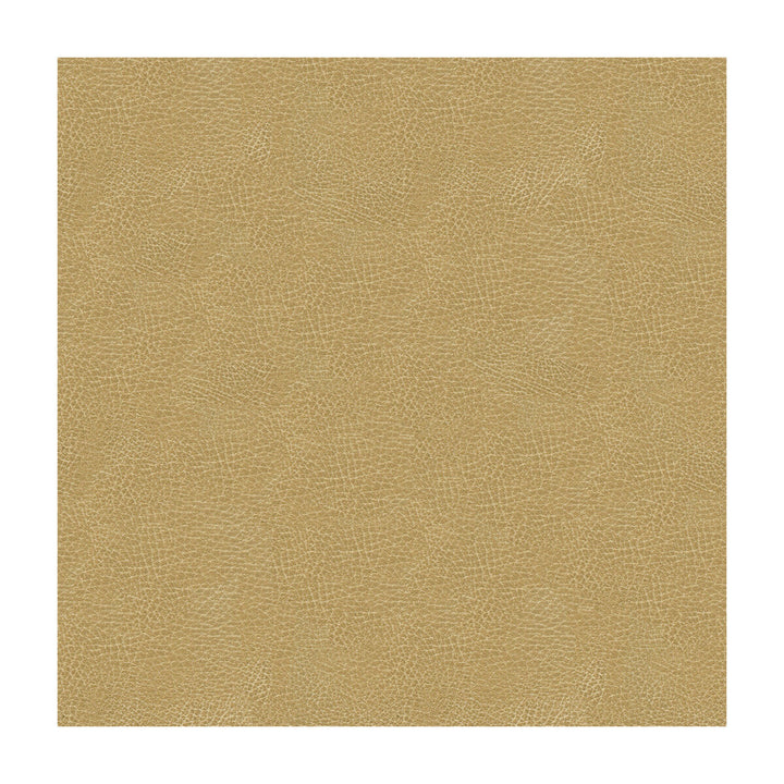 Kravet Design Grana-16 by Kravet Design Fabric Kravet Design Fabric Kravet Design Grana-16Fabric ULTRALEATHER PLUS IV POLYURETHANE - 100% Japan </p><p>Repeat: H: , V: 54 - Fabric Carolina -