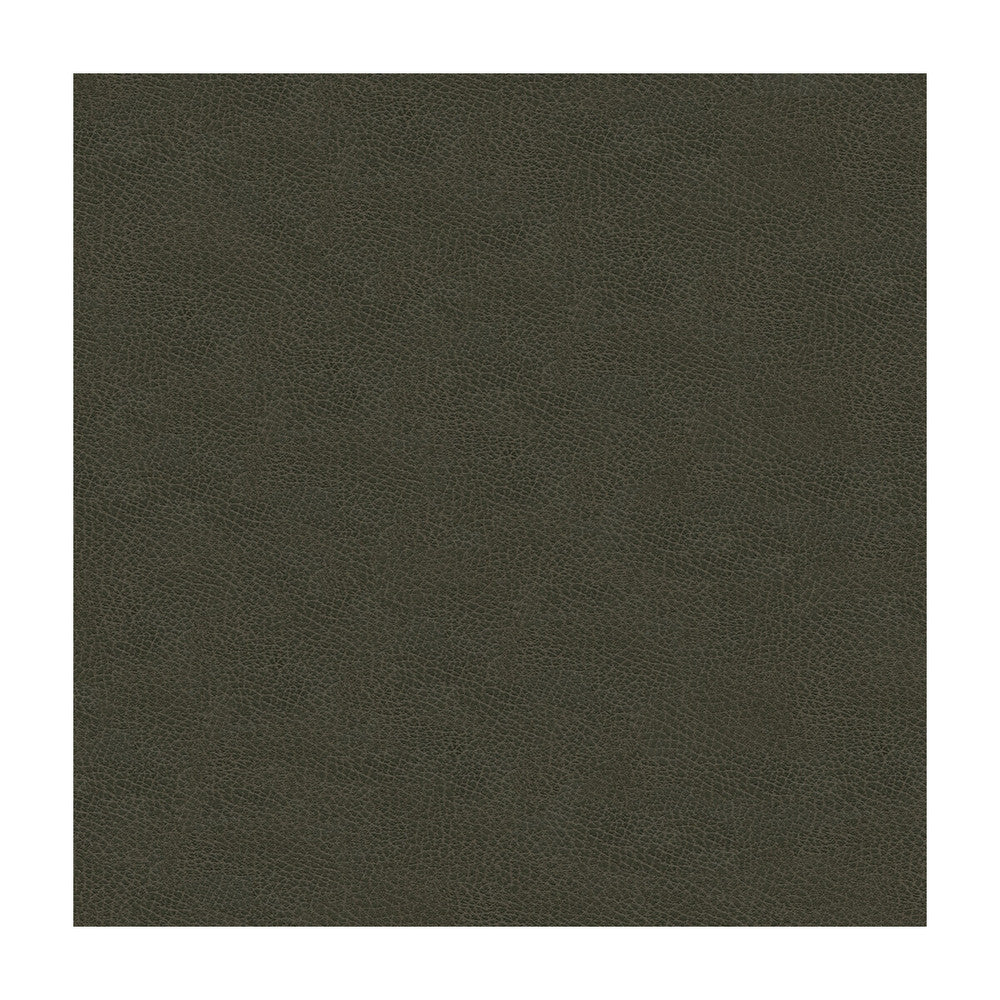 Grana-21 by Kravet Design Fabric ULTRALEATHER PLUS IV POLYURETHANE - 100% Japan HEAVY Horizontal: and Vertical: 54 - Fabric Carolina -