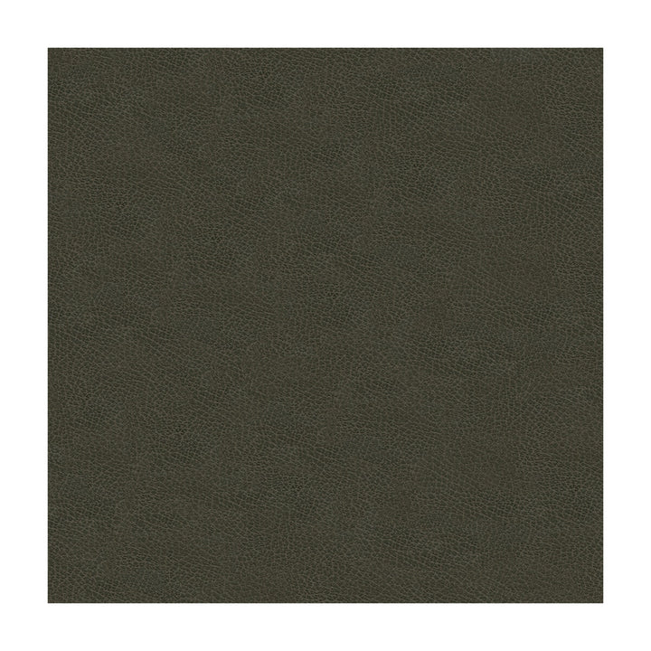 Grana-21 by Kravet Design Fabric ULTRALEATHER PLUS IV POLYURETHANE - 100% Japan HEAVY Horizontal: and Vertical: 54 - Fabric Carolina -