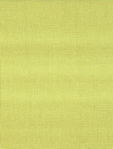 Grotto Lime 25326 by Norbar Fabric 100% POLYESTER TURKEY 59 - Fabric Carolina -