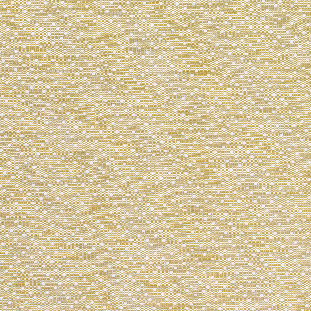 Groupie 7 Honey by Marcus William Designer Fabric Groupie 7 Honey by Marcus William Fabric KAI/MARCUS WILLIAM KELBY 100%POL India Horizontal: 1 and Vertical: 0.75 55 in - Fabric Carolina -