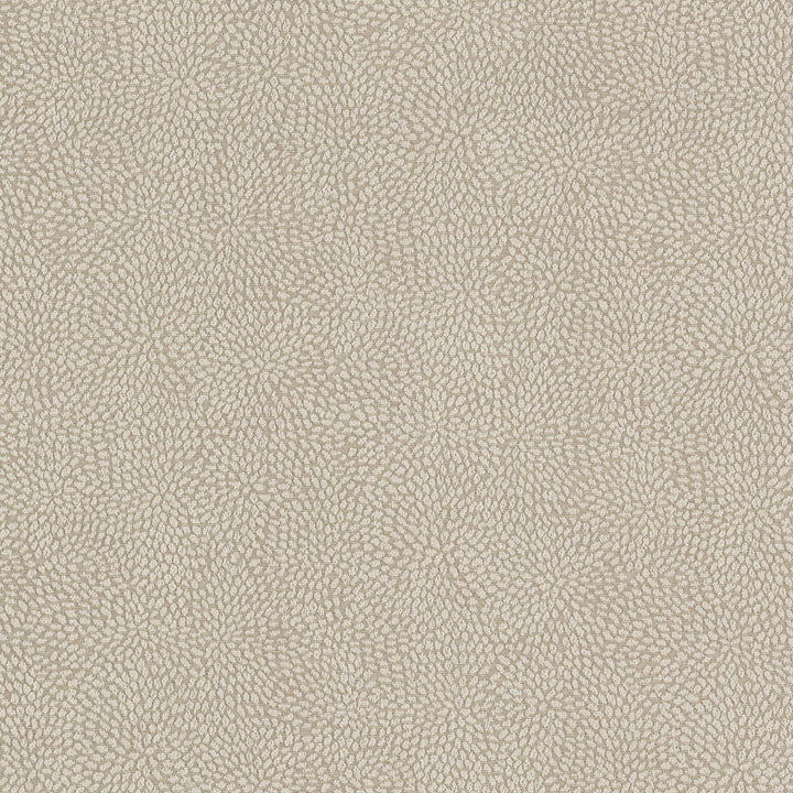 Growl 4 Oyster by Stout Fabric Stout Fabric Growl 4 OysterFabric Rainbow Library Birch/Taupe 100%Pol China </p><p>Repeat: H: 14, V: 9 56 in - Fabric Carolina -