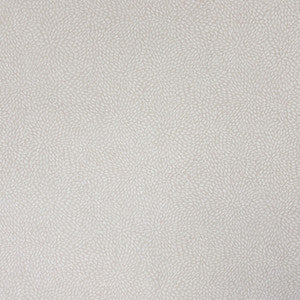 Growl 4 Oyster by Stout Fabric