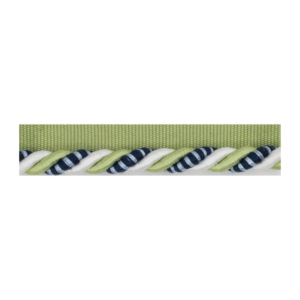 Gruver Cord 3 Seedling by Stout Trim SMALL WONDERS TRIM 55%SVI 45%POL CHINA Horizontal: 0.000 and Vertical: 0.000 0.38 in - Fabric Carolina -