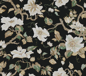 Marguerite Vine Black Wallpaper by Ronald Redding
