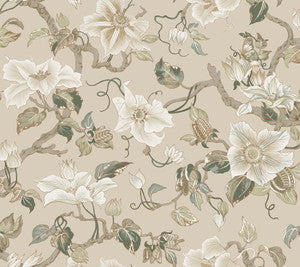 Marguerite Vine Taupe Wallpaper by Ronald Redding