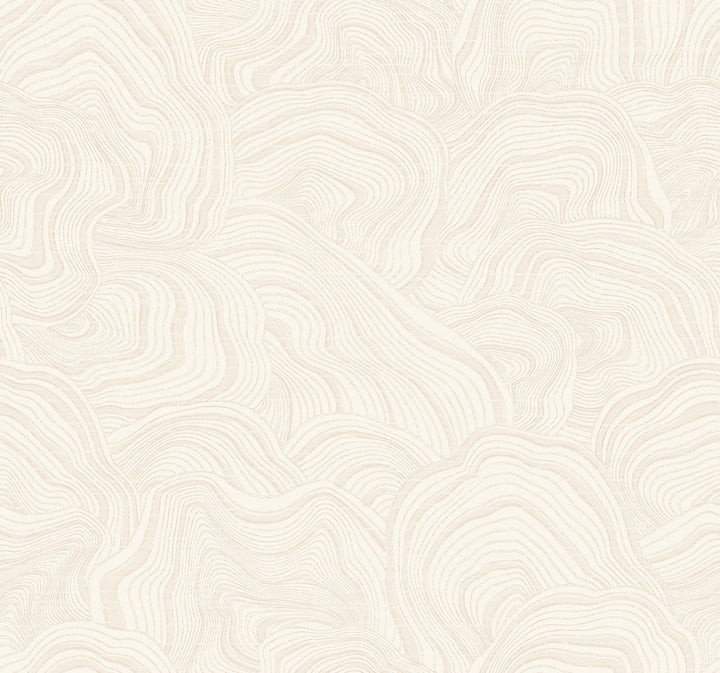 Geodes White Wallpaper by Ronald Redding Classics Covers about 60.8 square feet 27-in by 27-ft long roll Unpasted 25.25 - Fabric Carolina -