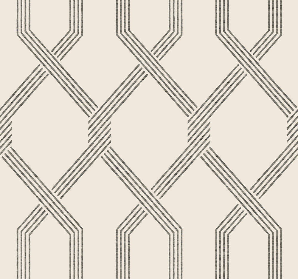 Palisade Black Wallpaper by Ronald Redding Classics Covers about 60.8 square feet 27-in by 27-ft long roll Unpasted 25.25 - Fabric Carolina -