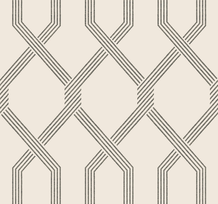 Palisade Black Wallpaper by Ronald Redding Classics Covers about 60.8 square feet 27-in by 27-ft long roll Unpasted 25.25 - Fabric Carolina -