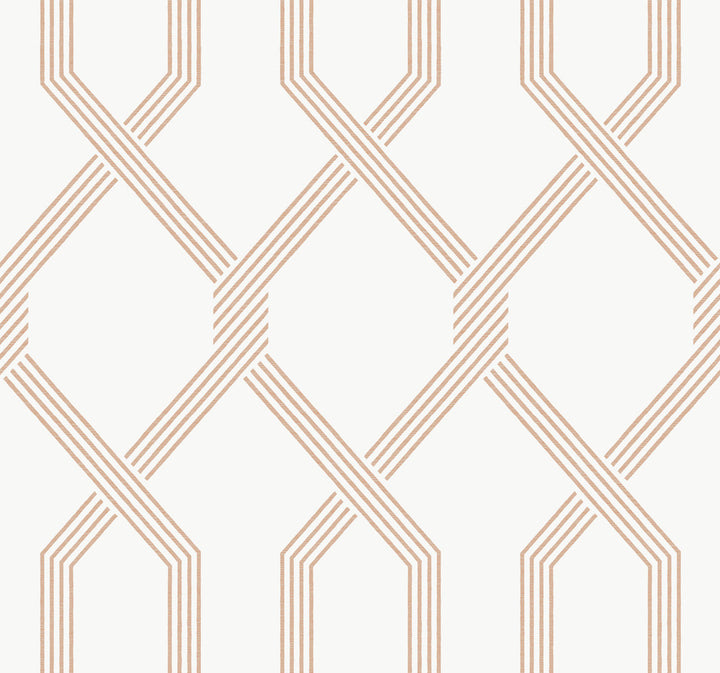 Palisade Coral Wallpaper by Ronald Redding Classics Covers about 60.8 square feet 27-in by 27-ft long roll Unpasted 25.25 - Fabric Carolina -