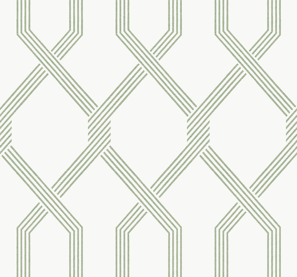Palisade Green Wallpaper by Ronald Redding Classics Covers about 60.8 square feet 27-in by 27-ft long roll Unpasted 25.25 - Fabric Carolina -