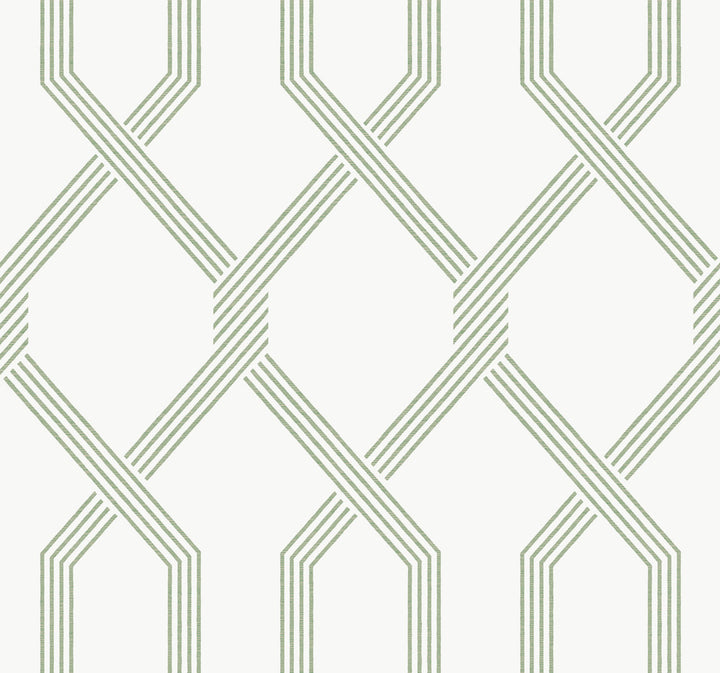 Palisade Green Wallpaper by Ronald Redding Classics Covers about 60.8 square feet 27-in by 27-ft long roll Unpasted 25.25 - Fabric Carolina -