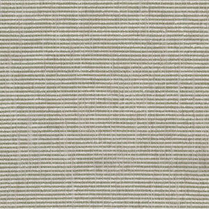 Guest 2 Fern by Stout Fabric