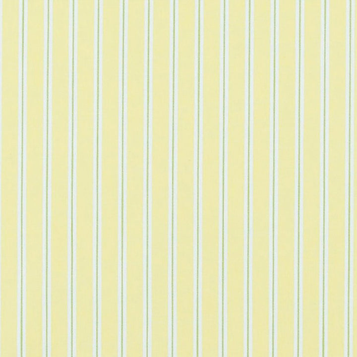 Gummy 13J6871 by JF Fabric Sweet Tooth 52% Cotton, 48% Polyester India 78000 Horizontal: 0.875 and Vertical: 54 - Fabric Carolina -