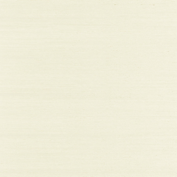 Maguey Sisal Oyster Wallpaper by Ronald Redding Designer Sisals Fan Deck Covers about 72 square feet 36-in by 24-ft long roll Unpasted 0 - Fabric Carolina -