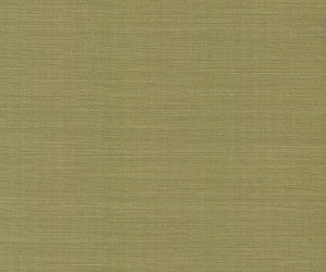 Maguey Sisal Fern Wallpaper by Ronald Redding