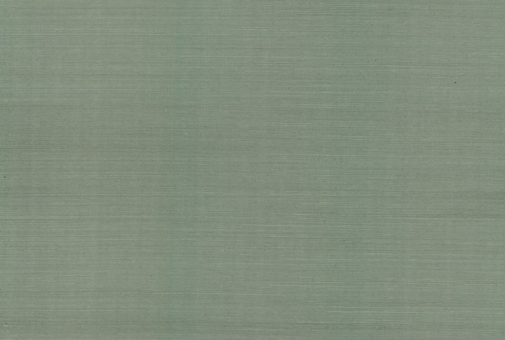 Maguey Sisal Sage Wallpaper by Ronald Redding Designer Sisals Fan Deck Covers about 72 square feet 36-in by 24-ft long roll Unpasted 0 - Fabric Carolina -