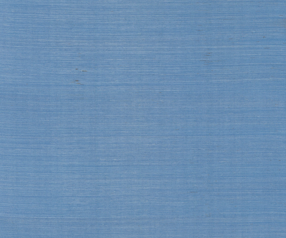 Maguey Sisal Azure Wallpaper by Ronald Redding Designer Sisals Fan Deck Covers about 72 square feet 36-in by 24-ft long roll Unpasted 0 - Fabric Carolina -