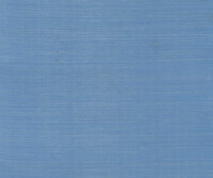Maguey Sisal Azure Wallpaper by Ronald Redding Designer Sisals Fan Deck Covers about 72 square feet 36-in by 24-ft long roll Unpasted 0 - Fabric Carolina -