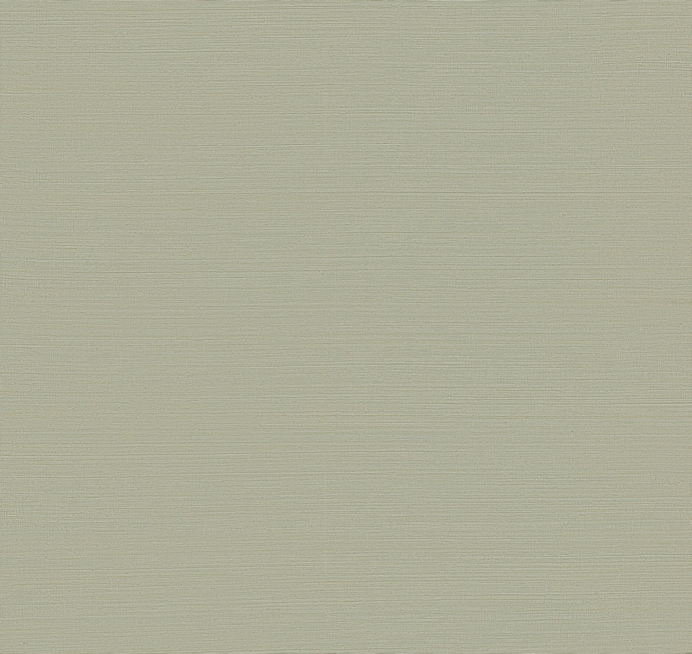 Maguey Sisal Putty Wallpaper by Ronald Redding Designer Sisals Fan Deck Covers about 72 square feet 36-in by 24-ft long roll Unpasted 0 - Fabric Carolina -