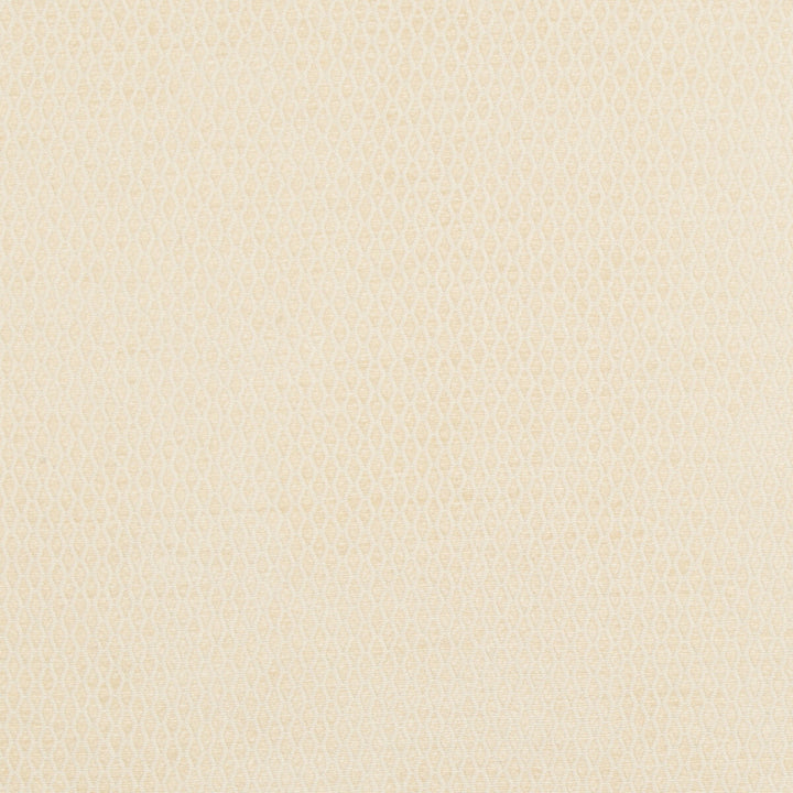 Eddie Chenille Beige by Groundworks Fabric THOMAS O'BRIEN TEXTILES VOL.V MERCERIZED COTTON - 54%;RAYON - 46% United States MEDIUM Horizontal: 2.25 and Vertical: 1.25 49 - Fabric Carolina -