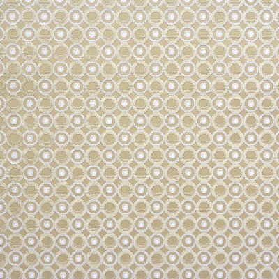 Pearl Beige/Snow by Groundworks Fabric ALLEGRA HICKS COLLECTION VISCOSE - 92%;POLYESTER - 8% Belgium HEAVY Horizontal: 1.75 and Vertical: 1.75 53 - Fabric Carolina -