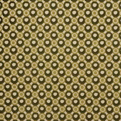 Pearl Beige/Meadow by Groundworks Fabric ALLEGRA HICKS COLLECTION VISCOSE - 92%;POLYESTER - 8% Belgium HEAVY Horizontal: 1.75 and Vertical: 1.75 53 - Fabric Carolina -
