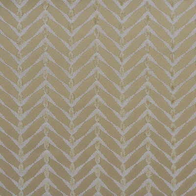 Zebrano Beige/Snow by Groundworks Fabric ALLEGRA HICKS COLLECTION VISCOSE - 92%;POLYESTER - 8% Belgium HEAVY Horizontal: 3.5 and Vertical: 1 53 - Fabric Carolina -
