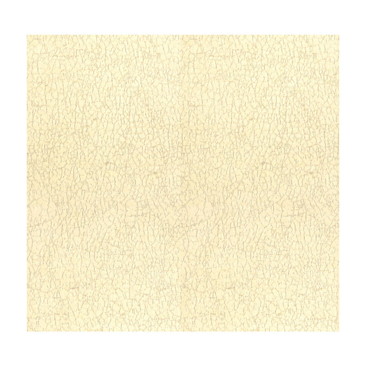 Breakwater Oyster by Groundworks Fabric KELLY WEARSTLER TERRA FIRMA TEXTILES SOLUTION DYED ACRYLIC - 100% United States MEDIUM Horizontal: 9.25 and Vertical: 17.5 54 - Fabric Carolina -