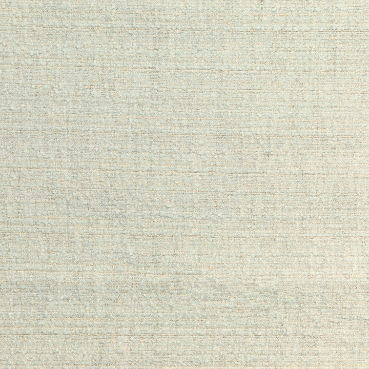 Lune Salt by Groundworks Fabric KELLY WEARSTLER VI VISCOSE - 32%;POLYACRYLIC - 25%;COTTON - 13%;LINEN - 13%;WOOL - 9%;POLYAMIDE - 8% Belgium HEAVY Horizontal: 0 and Vertical: 0 57 - Fabric Carolina -