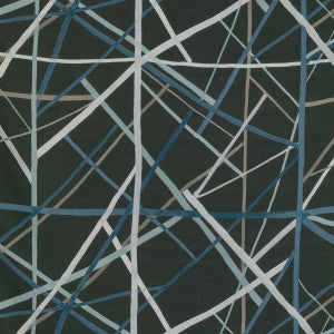 Simpatico Print Raven by Lee Jofa Modern Fabric