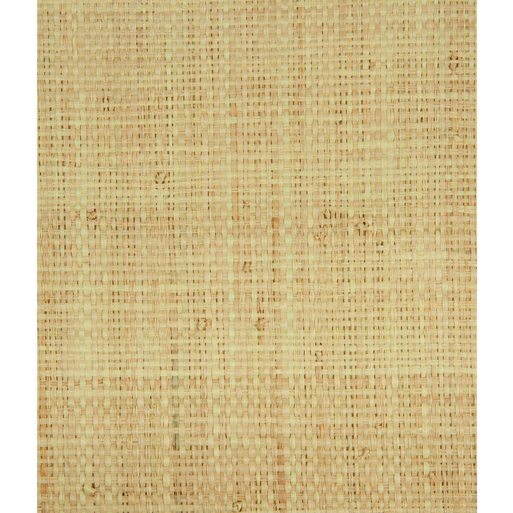 Heavy Raffia Natural by Lee Jofa Modern Wallcovering Lee Jofa Modern Wallcovering Heavy Raffia NaturalWallcovering RAFFIA - 100% Madagascar </p><p>Repeat: H: , V: 45 - Fabric Carolina -