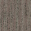 Fossil (Wp) # A14 Java by Maxwell Wallpaper