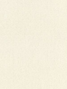 Scalamandre Fabric Reed Texture Canvas