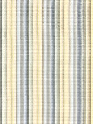 <p>Anderson Velvet Stripe Coastline GW272440001 by Scalamandre Fabric</p><p><strong>Required Minimum Quantity Purchase: Fabrics by the yard 1 YARD MINIMUM </p><p>Book: FOLKLORE</p><p>Content: 60% VISCOSE 31% COTTON 9% POLYESTER</p><p>Origin: BELGIUM</p><p>Performance: HEAVY DUTY</p><p>Repeat: Horizontal: 0" and Vertical: 6.75"</p><p>Width: 54</p>