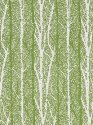 Birch Weave Spring Green GW272050002 by Grey Watkins Designer Fabric BREEZE 88% COTTON 12% POLYESTER INDIA MEDIUM DUTY Horizontal: 33" and Vertical: 13.5" 52 - Swanky Fabrics -